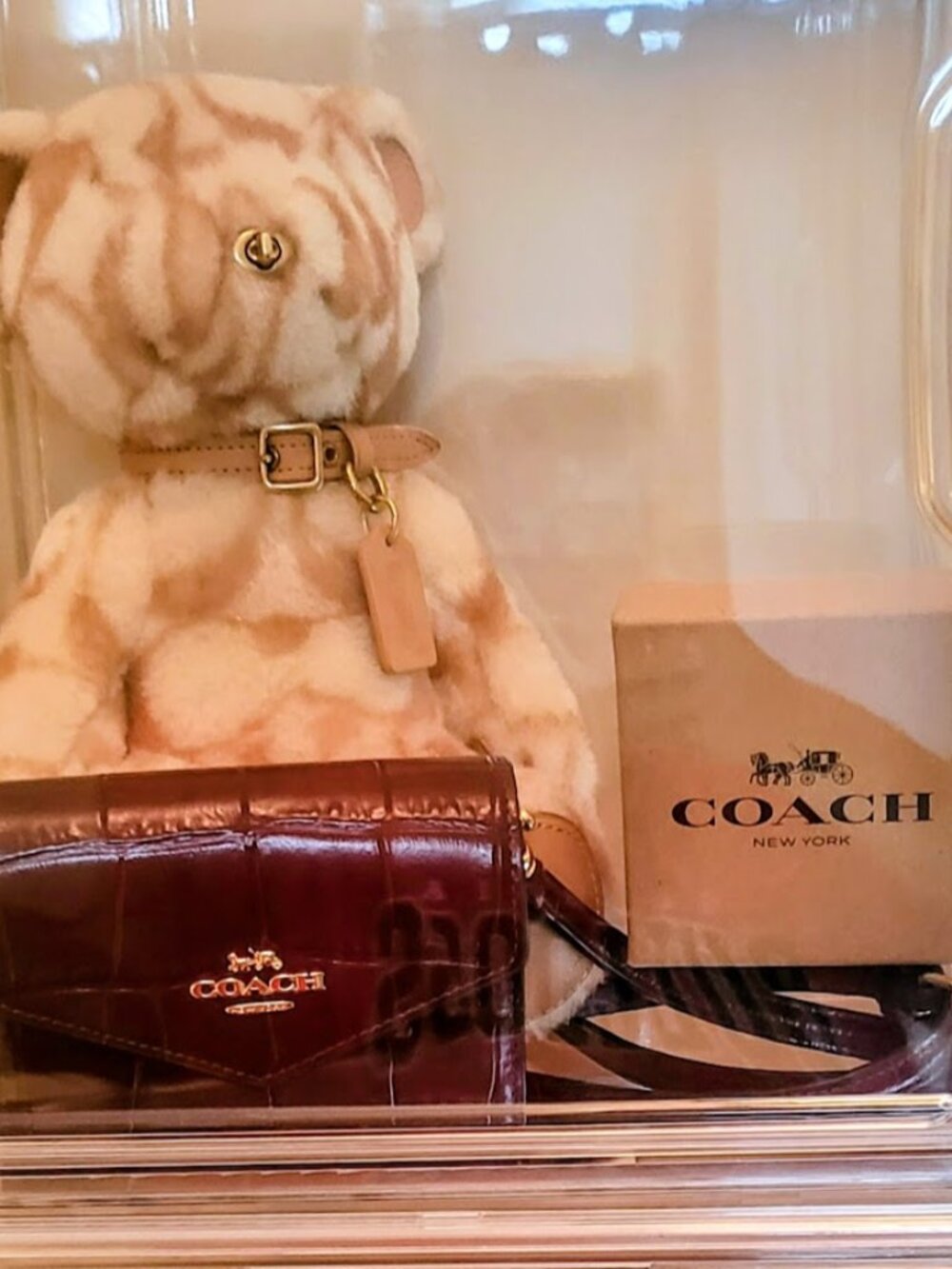 Coach Mini Envelope Wallet With Strap Style #CU175 With Coach Dust Bag - Picture 13 of 13